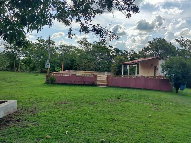 Chácara para Venda em Cuiabá - 5